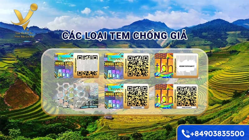 Các loại tem chống hàng giả tại miền Bắc phổ biến