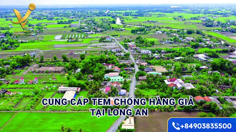 Cung cấp tem chống hàng giả tại Long An
