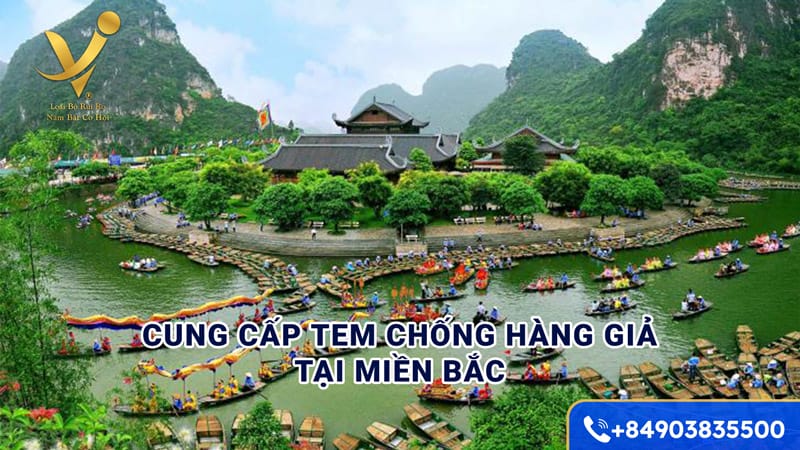 Cung cấp tem chống hàng giả tại miền Bắc