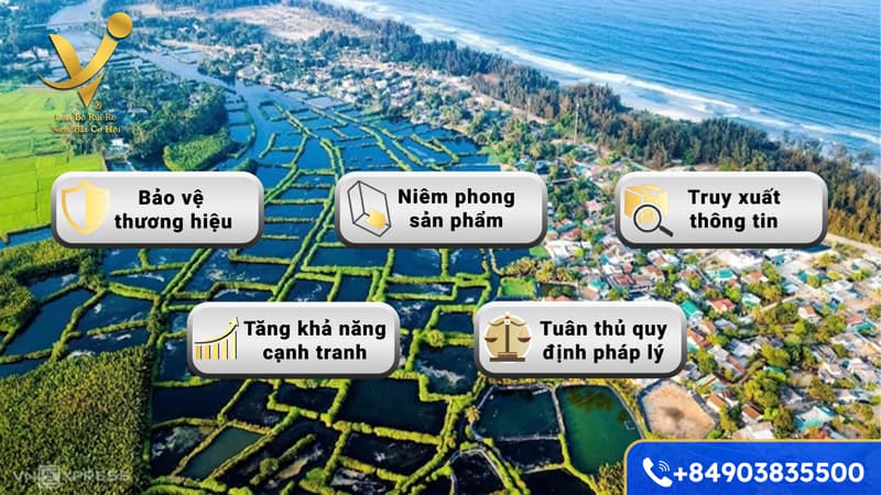 Lợi ích sử dụng tem chống hàng giả tại Quảng Ngãi