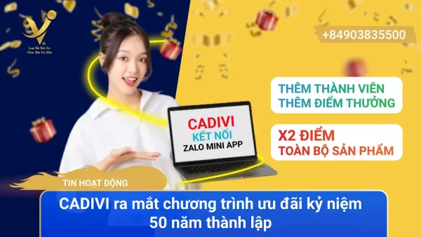 Cadivi kết nối