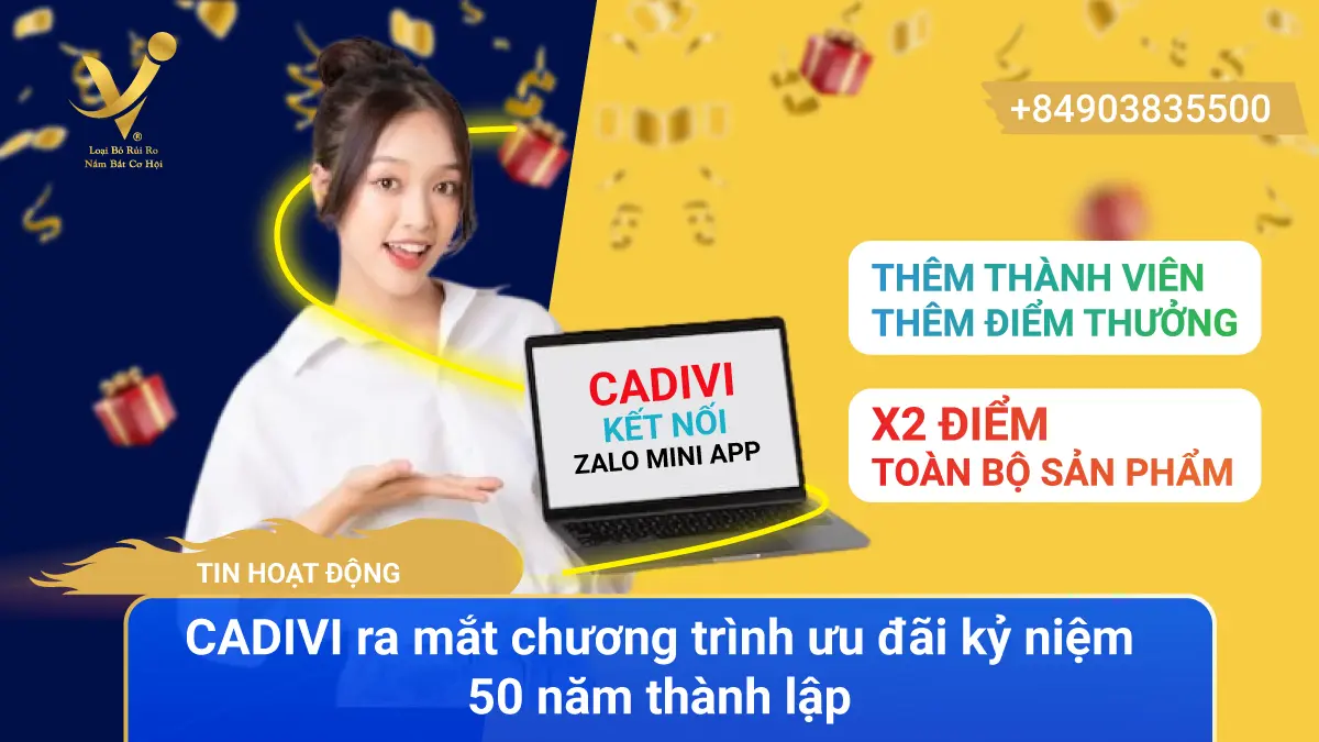 Cadivi kết nối